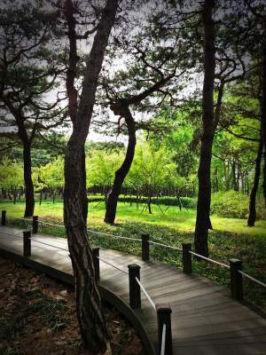 대전 한밭수목원의 봄풍경