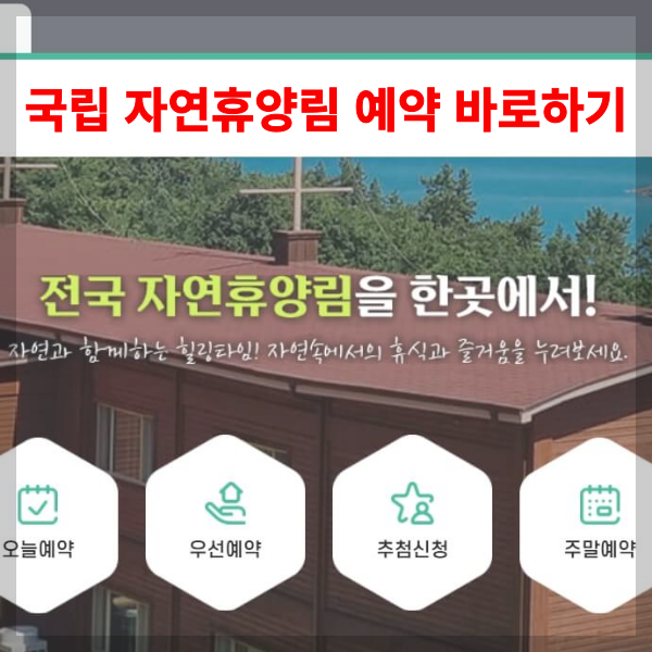 국립 자연휴양림 예약 방법 쉽게 알아보기