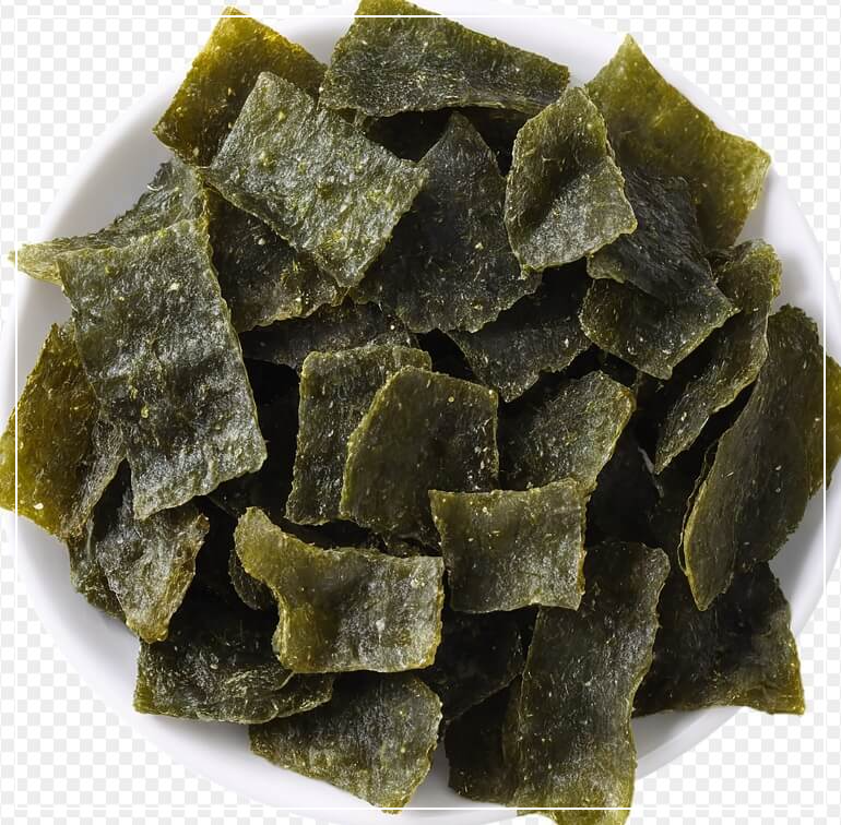 대장내시경 전 먹어도 되는 음식