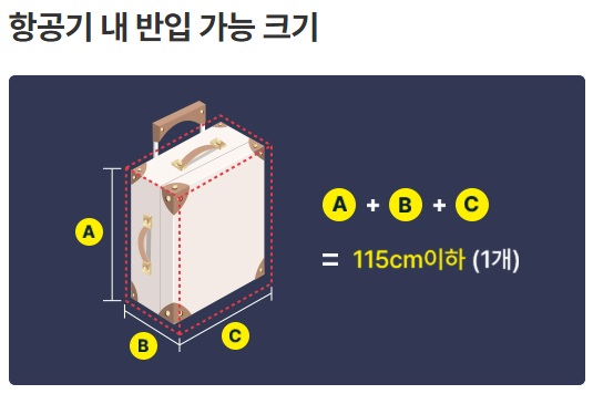 기내 반입 가능 크기