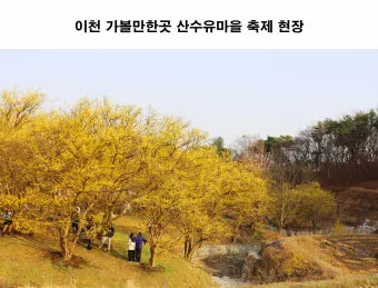 이천 가볼만한곳 맛집 추천 카페 실내 관광 명소_9