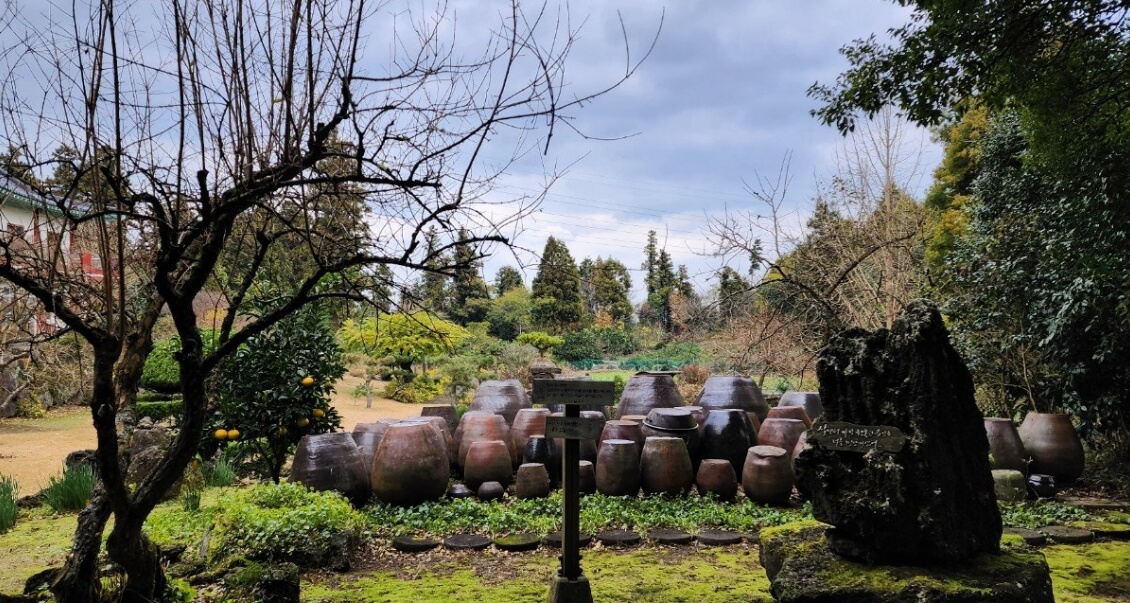 제주 남국사 : 삼나무 길과 수국이 아름다운 비밀 정원 제주 시내 작은 절