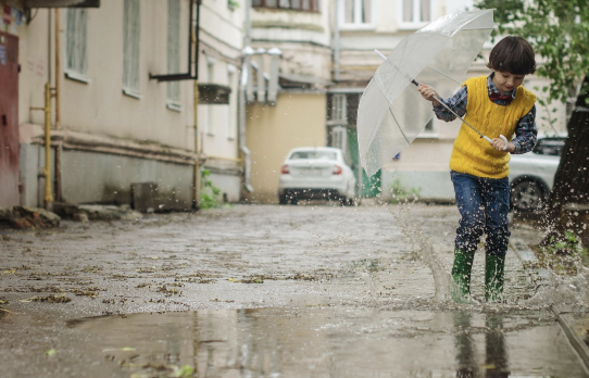 넷플릭스 대환장 기안장 출연진 클라이밍 기안84 인기이유