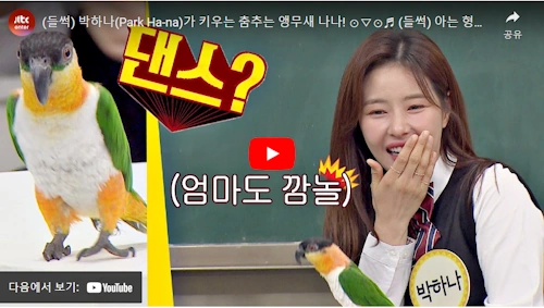 아는 형님 박하나 앵무새 나나