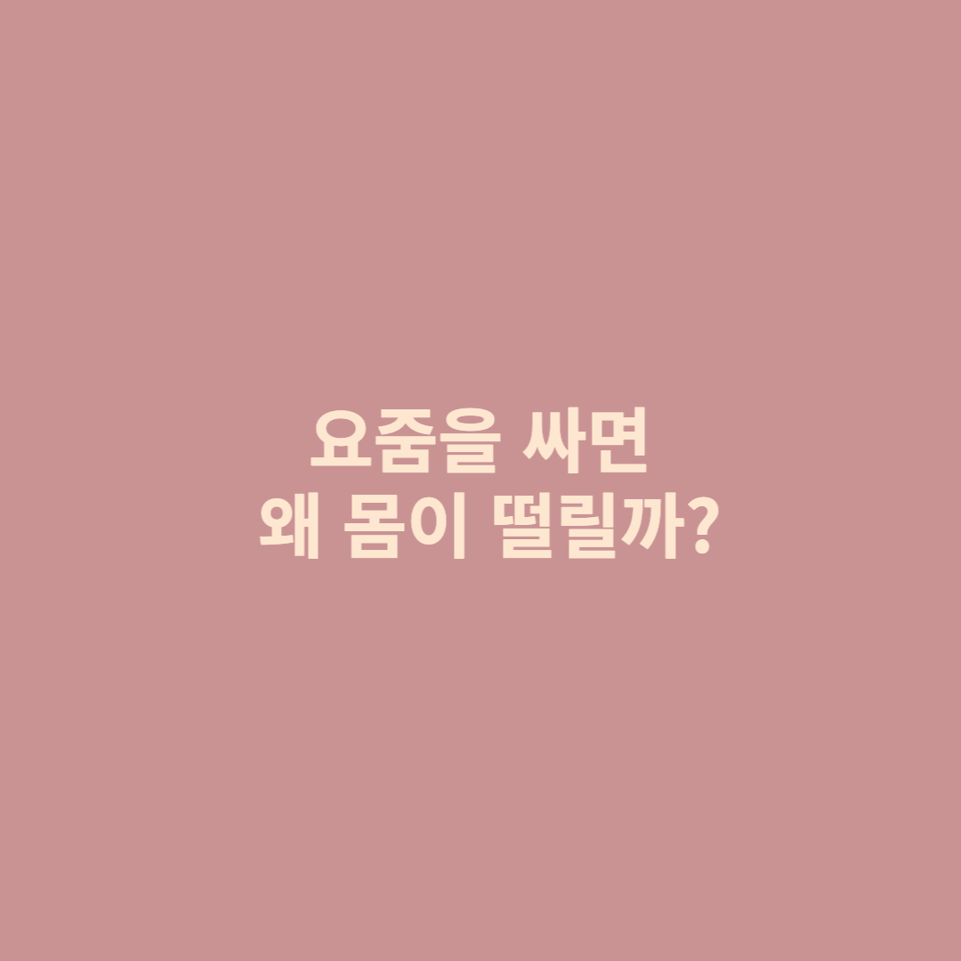 섬네일 사진