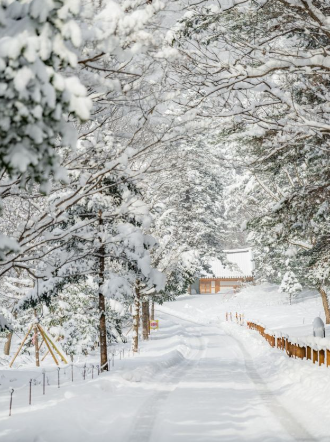 1월 전라북도 가볼만한곳 여행지 ❘ 국내 겨울 명소 추천 ❘ 전라도 ❘ 데이트 가족 실내 나들이