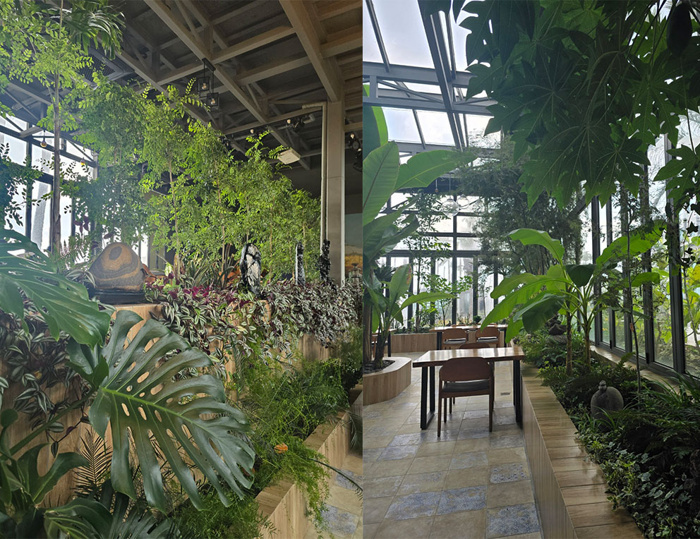 식물 가득한 카페 내부 공간