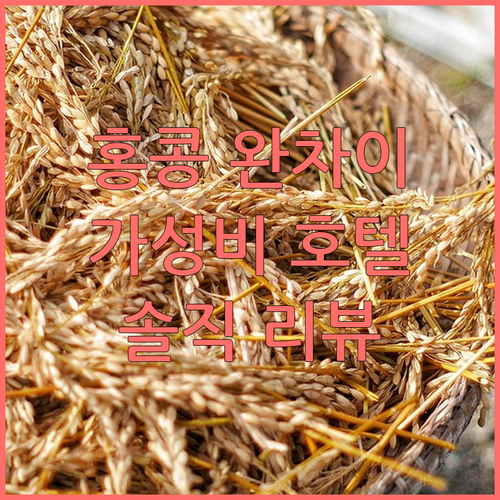 홍콩 완차이 가성비 호텔 추천! 솔직