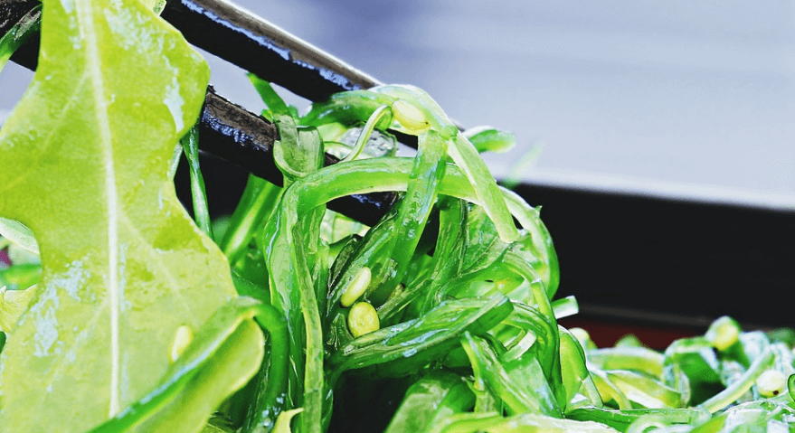 귀에 좋은 음식 해초