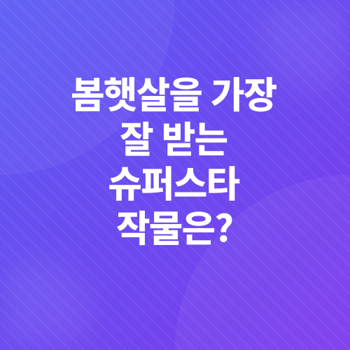 봄철 주말농장 작물 추천_1