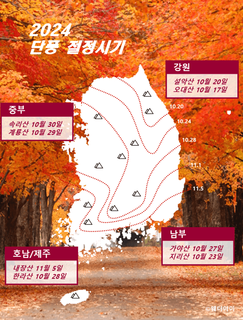 2024 단풍 절정 시기