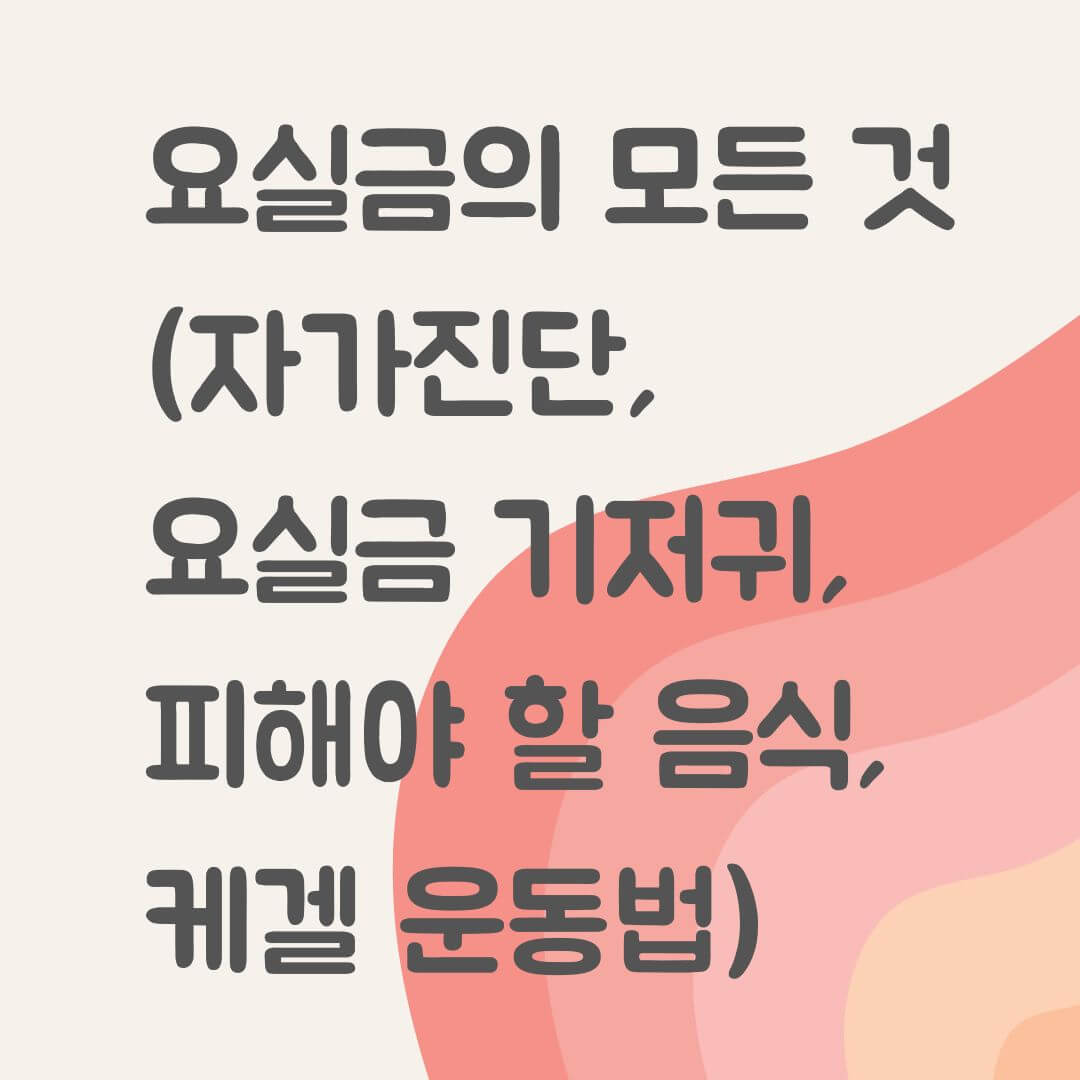 요실금의 모든 것