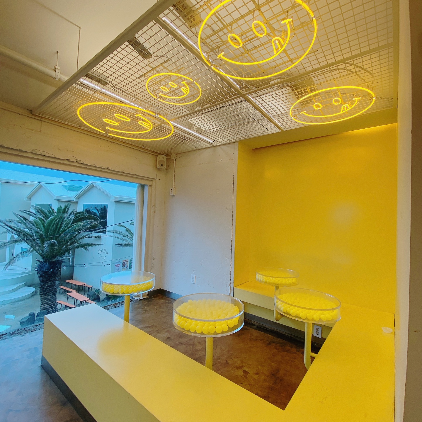 노티드 도넛 제주 애월 핫플레이스 우유크림 도넛 Knotted JEJU