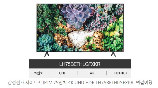 75인치 TV 크기 - 65인치티비 vs 75인치티비 [TV추천]