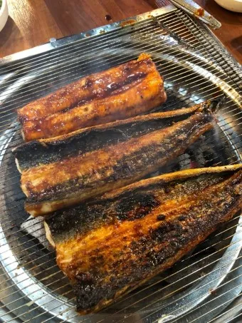 민물장어 가격 효능 민물장어 바다장어 차이 종류_10