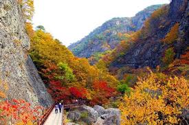 경북 가을 산행지 추천
