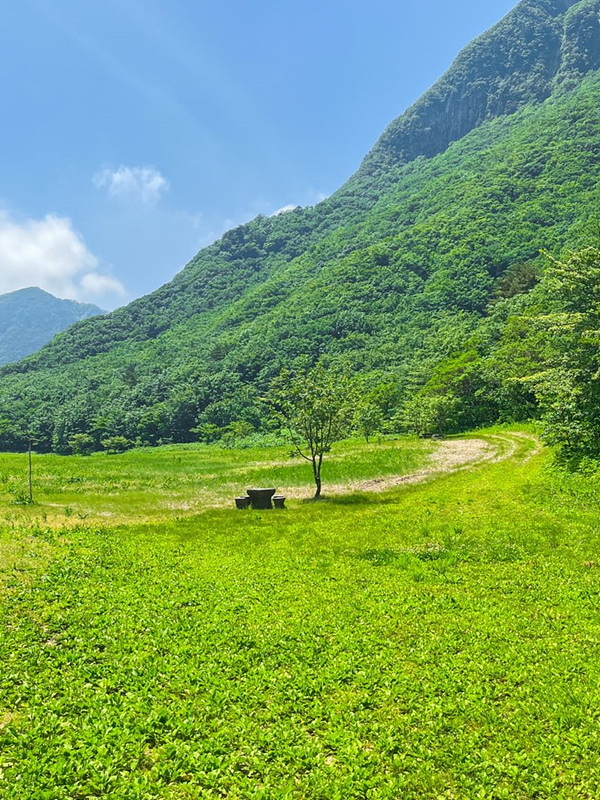 울릉도 여행 준비