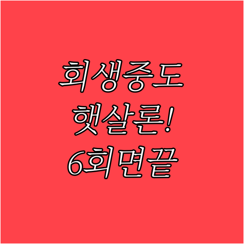 정부지원 햇살론 개인회생 중에도 6회..