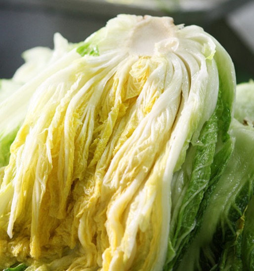 고랭지 절임배추