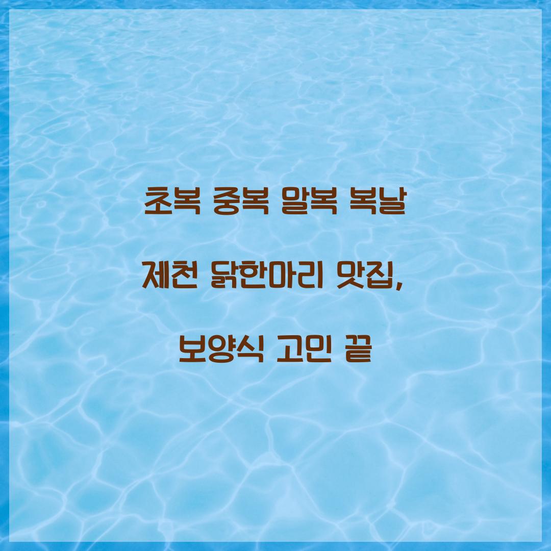 초복 중복 말복 복날 닭한마리 맛집