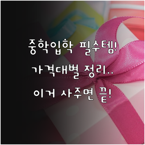 중학교 입학 선물 추천 및 가격대별 ..