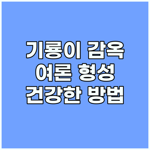 기룡이감옥 사건 건강한 온라인 여론 ..