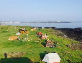 비양도 배시간표