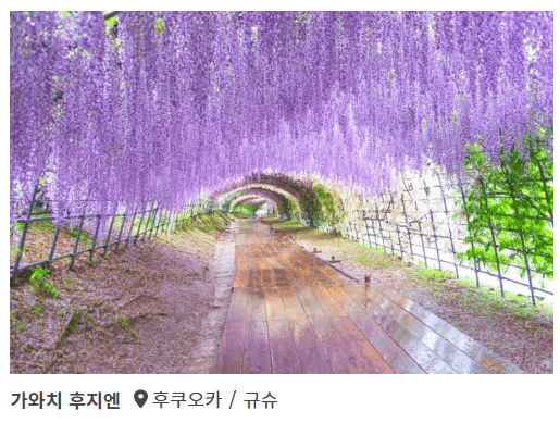 봄3