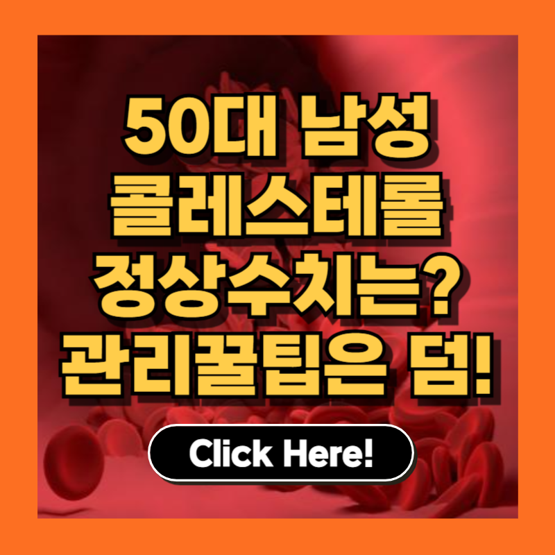 50대 남성 건강, 콜레스테롤 정상수치 범위와 올바른 관리 팁 총정리