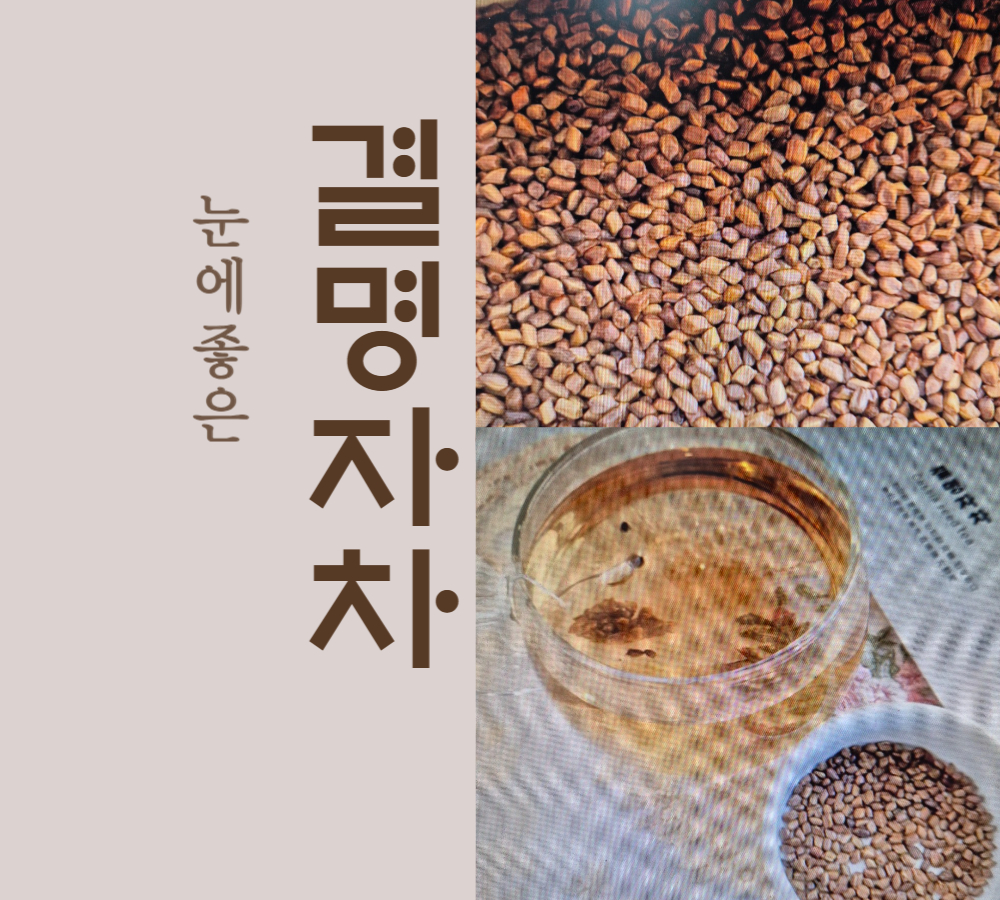 눈에좋은 결명자차