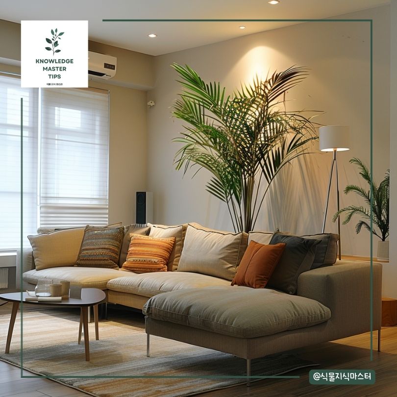 거실대형식물, 대나무 야자