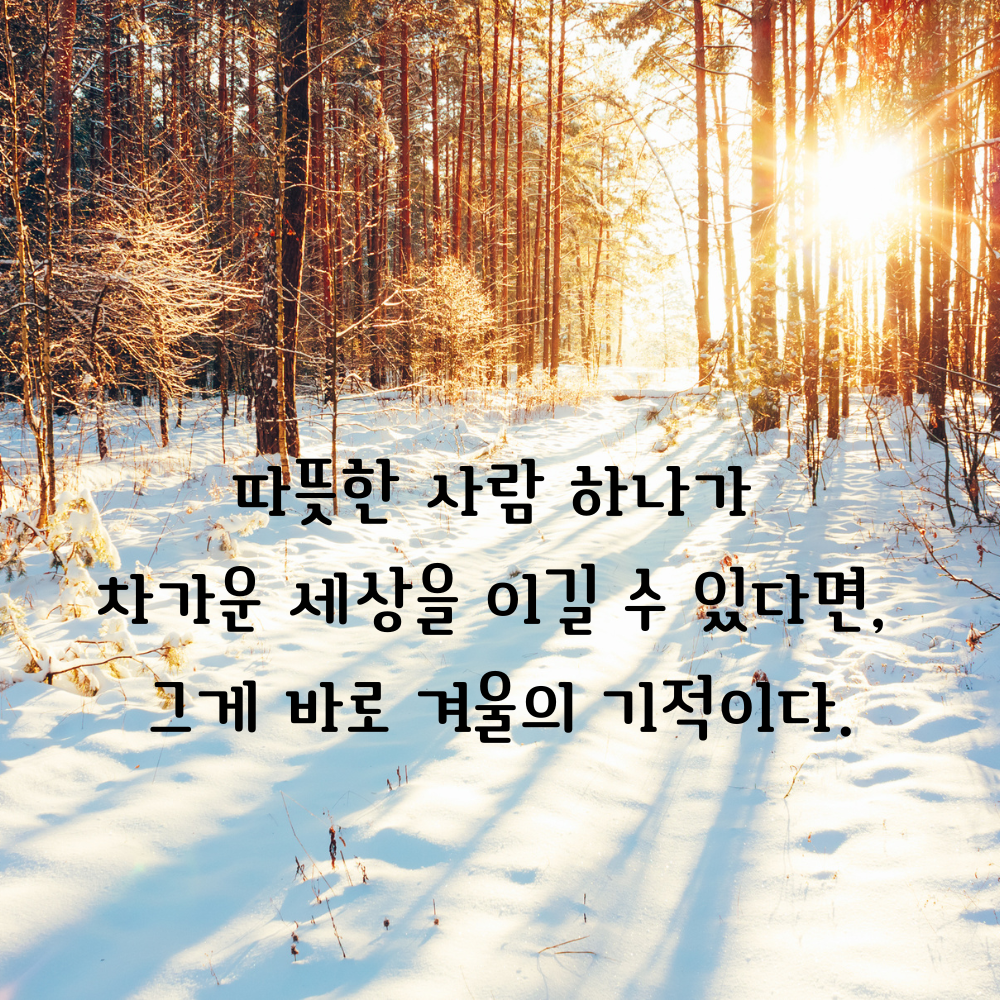 겨울 좋은 글귀 겨울 명언 문구 이미지
