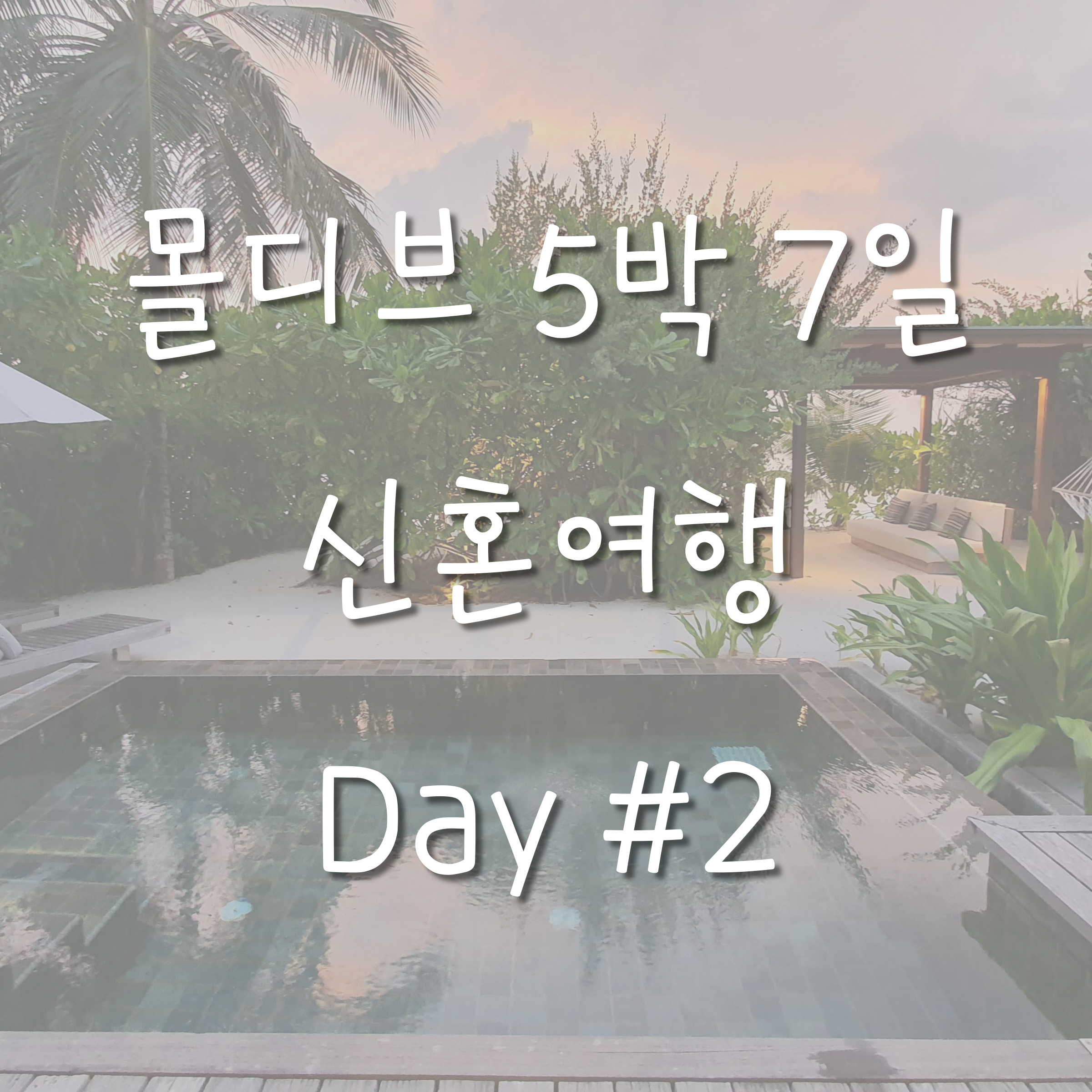 몰디브 시루펜푸시 썸네일