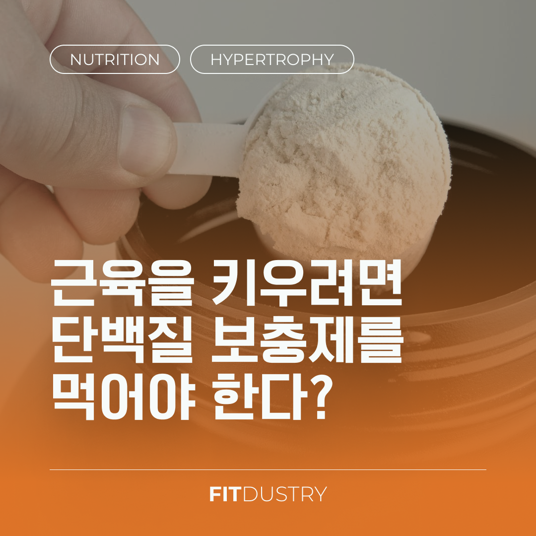 근육을 키우려면 단백질 보충제를 먹어야 한다?