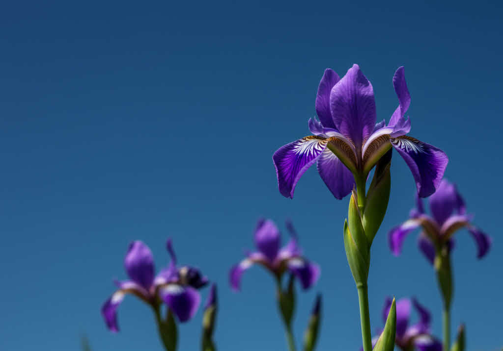 기초연금과 노후준비: 어떻게 해야할까?