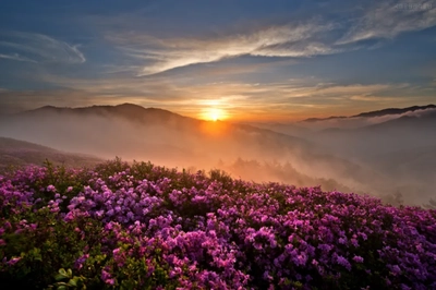 3월에 가볼만한 산