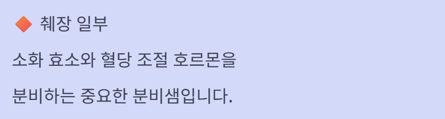 오른쪽 갈비뼈 아래 통증