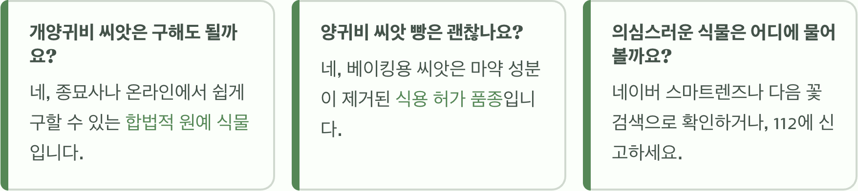 개양귀비 vs 양귀비, 우리 집에 핀 꽃 마약 아닐까요? (완벽 구별법)