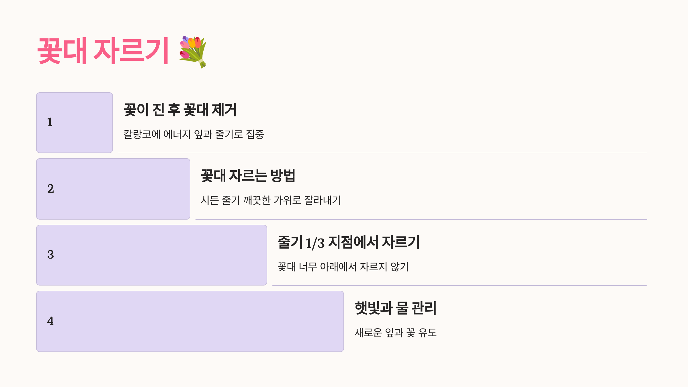 칼랑코에 사진입니다.