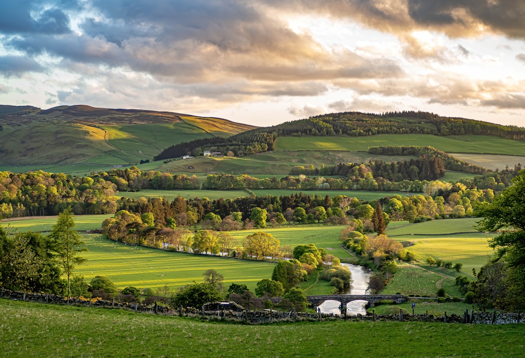 Farmland
