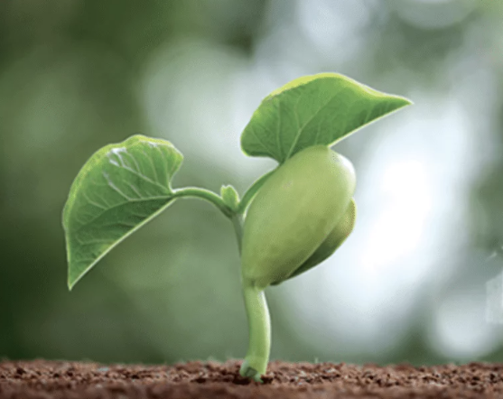 뿌린대로 거둔다 사자성어