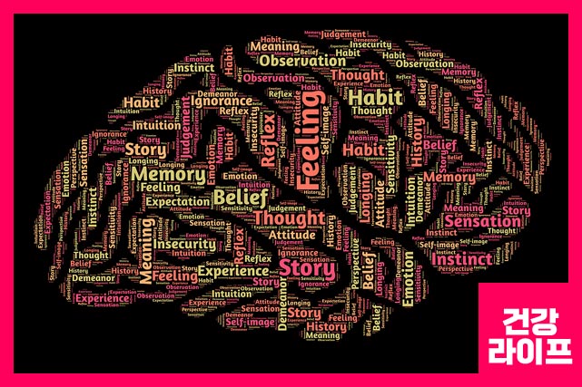 뇌에 영향을 미치는 모든 질병이나 부상은 기억력 저하