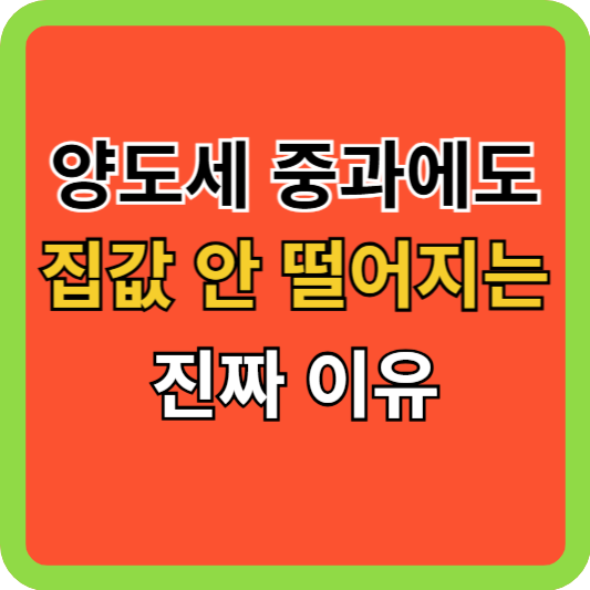 양도세 중과에도 집값이 안 떨어지는 진짜 이유