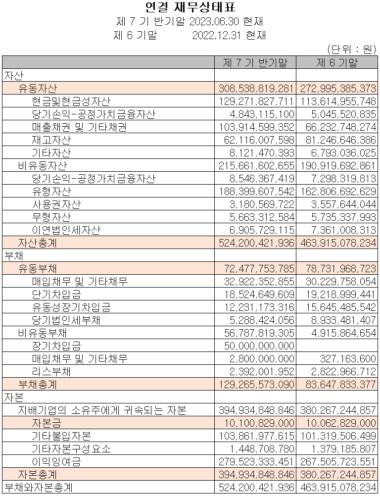 이녹스첨단소재 - 재무상태표