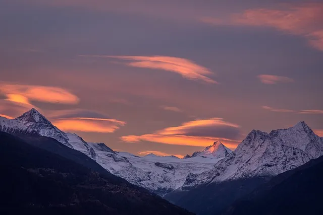 포르투갈 전통주 아과르덴트 벨랴 포도주 증류 고급 브랜디_6