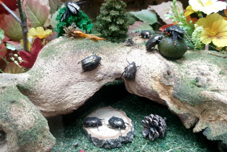 부천 자연생태공원