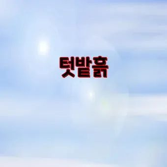 상토 선택 화분심기 초보기준 비료섞는법 안전 가이드_11