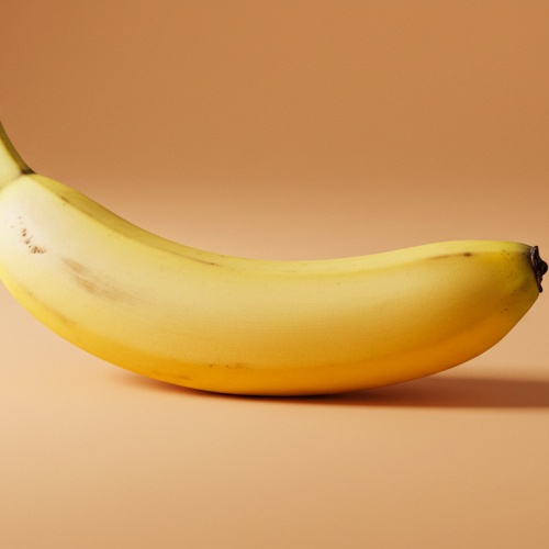 바나나 사진
