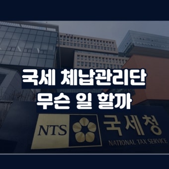 국세 체납 관리 전담 인력 채용 절차 한눈 정리