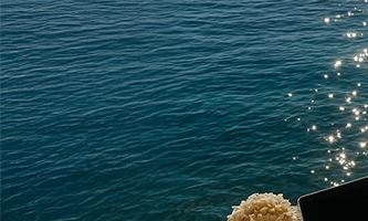 50대를 위한 디지털 노마드 창업을 상징하는 해안가 작업 공간